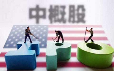 中远海控股票